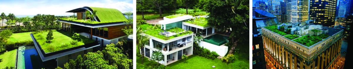 A green roof for your new build home